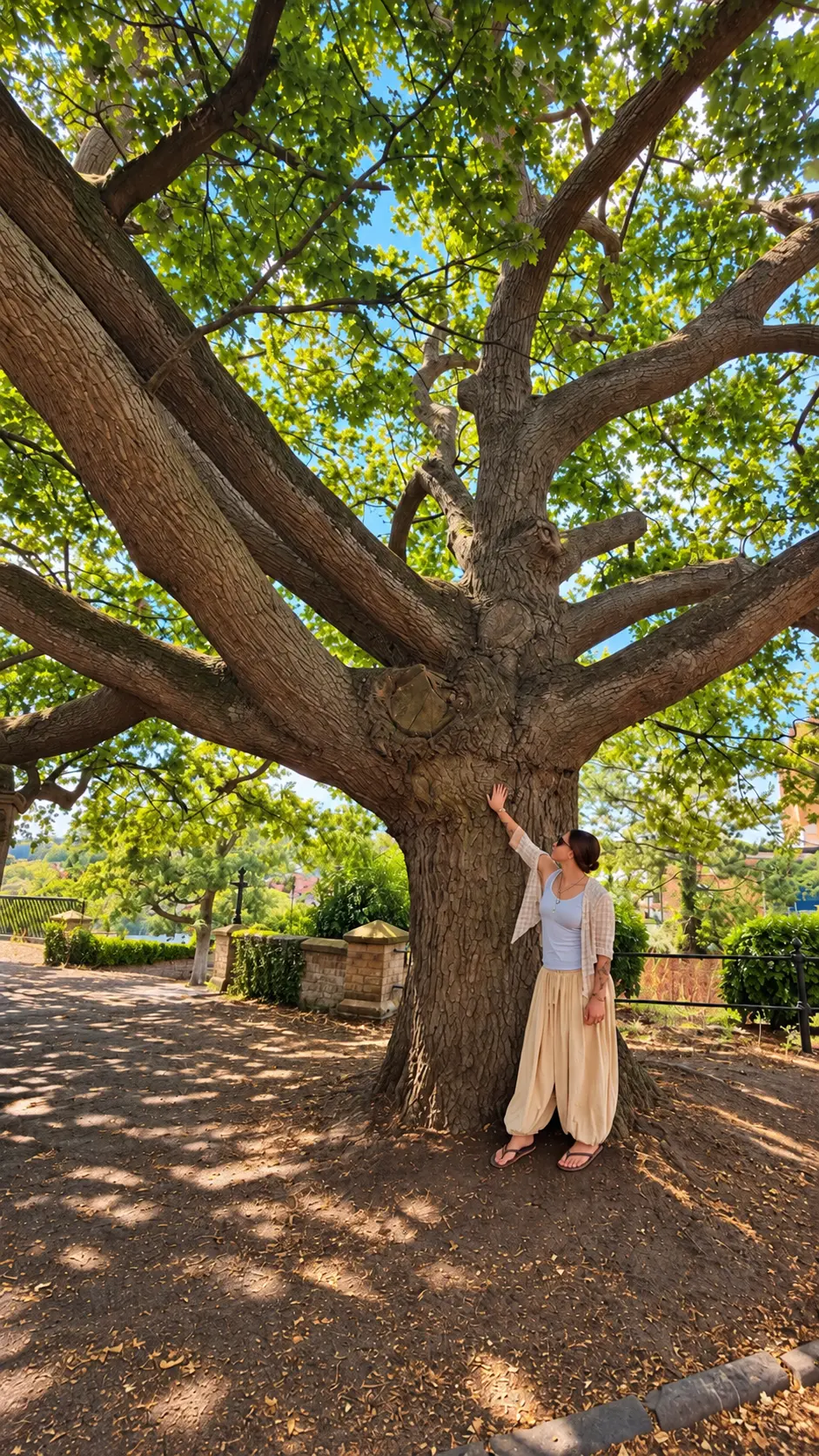 Kayla resting her hand on an ancient tree trunk beneath its canopy